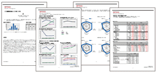 財務分析リポート